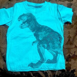 Carter boys top 24 mo